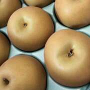 ヒメ日記 2025/09/25 23:30 投稿 知花 HERMINE-エルミネ-