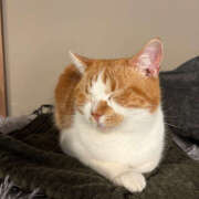 ヒメ日記 2025/11/02 23:21 投稿 知花 HERMINE-エルミネ-