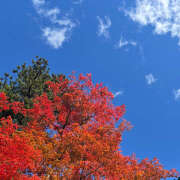 ヒメ日記 2025/11/03 08:38 投稿 知花 HERMINE-エルミネ-