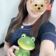 ヒメ日記 2025/11/08 13:54 投稿 知花 HERMINE-エルミネ-