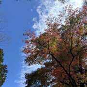 ヒメ日記 2025/11/18 08:38 投稿 知花 HERMINE-エルミネ-