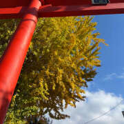 ヒメ日記 2025/12/07 08:38 投稿 知花 HERMINE-エルミネ-