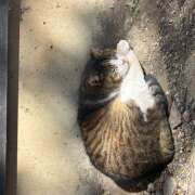 ヒメ日記 2026/02/22 09:12 投稿 知花 HERMINE-エルミネ-