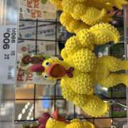 ヒメ日記 2026/03/24 23:17 投稿 知花 HERMINE-エルミネ-