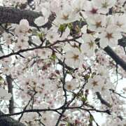 ヒメ日記 2026/04/02 13:56 投稿 知花 HERMINE-エルミネ-