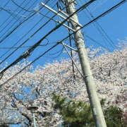 ヒメ日記 2026/04/03 16:05 投稿 知花 HERMINE-エルミネ-