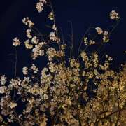 ヒメ日記 2026/04/04 09:45 投稿 知花 HERMINE-エルミネ-