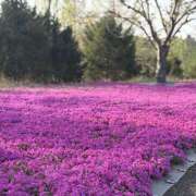 ヒメ日記 2026/04/16 11:16 投稿 知花 HERMINE-エルミネ-