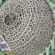 ヒメ日記 2026/04/22 14:45 投稿 知花 HERMINE-エルミネ-