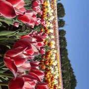 ヒメ日記 2026/04/28 11:12 投稿 知花 HERMINE-エルミネ-