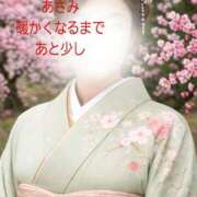 ヒメ日記 2026/03/11 10:41 投稿 あさみ 奥鉄オクテツ大阪