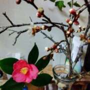 ヒメ日記 2025/02/17 13:43 投稿 ももか 沼津人妻花壇