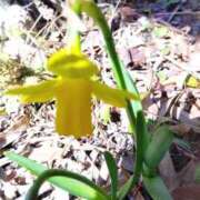 ヒメ日記 2025/03/14 10:19 投稿 ももか 沼津人妻花壇