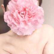 ヒメ日記 2025/04/13 13:56 投稿 ももか 沼津人妻花壇