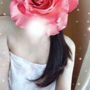 ヒメ日記 2025/12/12 14:16 投稿 ももか 沼津人妻花壇