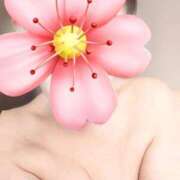 ヒメ日記 2026/03/13 11:12 投稿 ももか 沼津人妻花壇