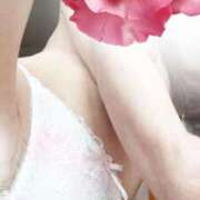 ヒメ日記 2026/03/30 19:06 投稿 ももか 沼津人妻花壇