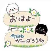 ヒメ日記 2026/03/30 09:57 投稿 真中　みき しこたま奥様 札幌店