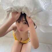 ヒメ日記 2025/05/23 06:17 投稿 ふぇると The White