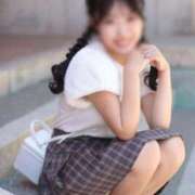 ヒメ日記 2025/10/29 10:00 投稿 ふぇると The White