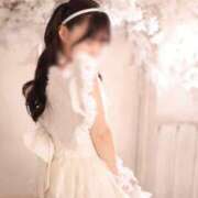 ヒメ日記 2025/10/31 20:00 投稿 ふぇると The White