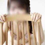 ヒメ日記 2025/11/19 23:45 投稿 ふぇると The White