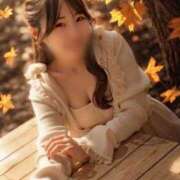 ヒメ日記 2025/11/21 18:00 投稿 ふぇると The White