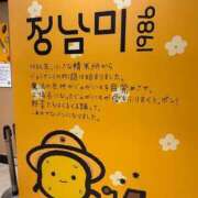 ヒメ日記 2026/02/16 18:44 投稿 ふぇると The White