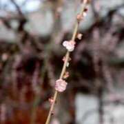 ふぇると これ、実は本当です The White