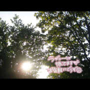 ヒメ日記 2025/05/11 21:51 投稿 ゆいか 春日部人妻花壇