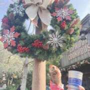 ヒメ日記 2025/06/21 12:51 投稿 ゆいか 春日部人妻花壇