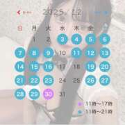 ヒメ日記 2025/11/27 08:47 投稿 みれい☆ 粋美　suibi