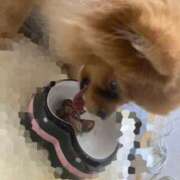 いのり（動画撮影OＫ） ありがとう🥹💞 OKINI Tokyo in 蒲田