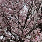 ヒメ日記 2026/03/29 22:19 投稿 相川（あいかわ） 丸妻 錦糸町店