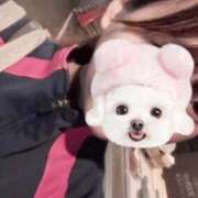 ヒメ日記 2025/05/10 00:52 投稿 もな マネLOVE