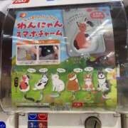 カオル (߹ㅁ߹) キャンディ(鹿児島)