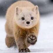 ヒメ日記 2025/04/23 19:48 投稿 ほたる※ニューハーフ 福島♂風俗の神様 郡山店