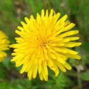 ヒメ日記 2025/06/08 00:58 投稿 ほたる※ニューハーフ 福島♂風俗の神様 郡山店