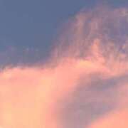 ヒメ日記 2025/07/24 20:38 投稿 ほたる※ニューハーフ 福島♂風俗の神様 郡山店