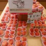 ヒメ日記 2025/08/12 05:28 投稿 ほたる※ニューハーフ 福島♂風俗の神様 郡山店