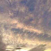 ヒメ日記 2025/08/25 18:10 投稿 ほたる※ニューハーフ 福島♂風俗の神様 郡山店