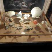 ヒメ日記 2025/10/08 20:18 投稿 ほたる※ニューハーフ 福島♂風俗の神様 郡山店