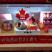 ヒメ日記 2025/11/15 19:18 投稿 ほたる※ニューハーフ 福島♂風俗の神様 郡山店