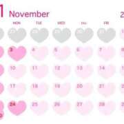 ほたる※ニューハーフ 12月2日まで 福島♂風俗の神様 郡山店