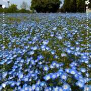 ヒメ日記 2026/04/19 13:20 投稿 みわ 池袋あられ