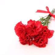 ヒメ日記 2025/05/18 11:26 投稿 真世 新潟市鳥屋野潟ちゃんこ