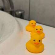 ヒメ日記 2025/03/06 22:48 投稿 よぞら E+アイドルスクール船橋店