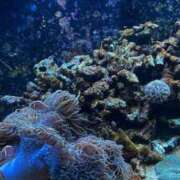 ヒメ日記 2025/02/11 10:02 投稿 森　みのり AZITO V.I.P