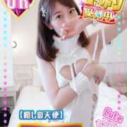 ヒメ日記 2024/12/24 21:19 投稿 モモコ On a best（オンナベスト）