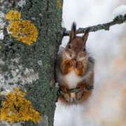 ヒメ日記 2025/03/01 22:39 投稿 モモコ On a best（オンナベスト）